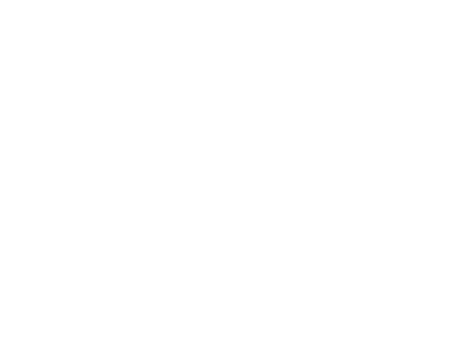 Portfel polaka